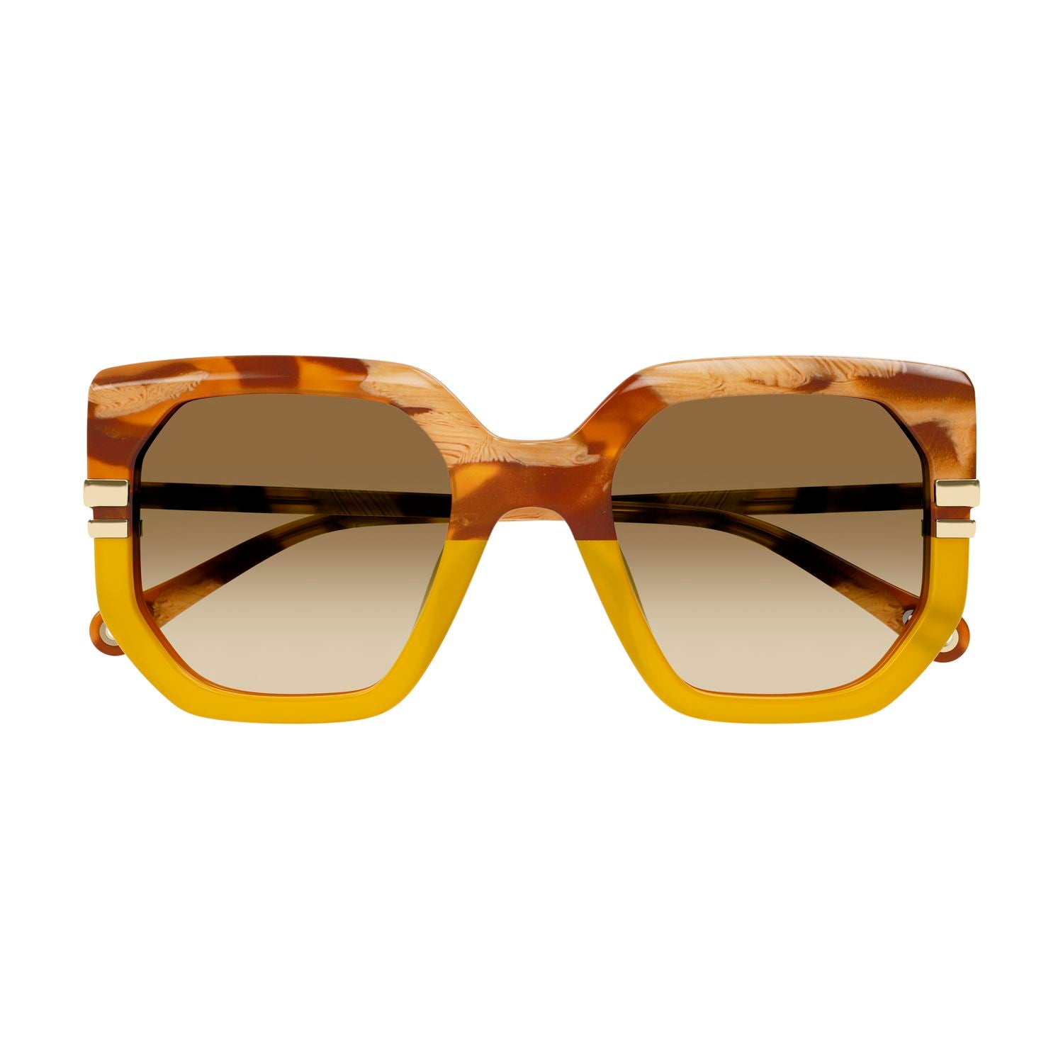 CH0240S Brown recycled acetate Sunglasses - Shiny Brown