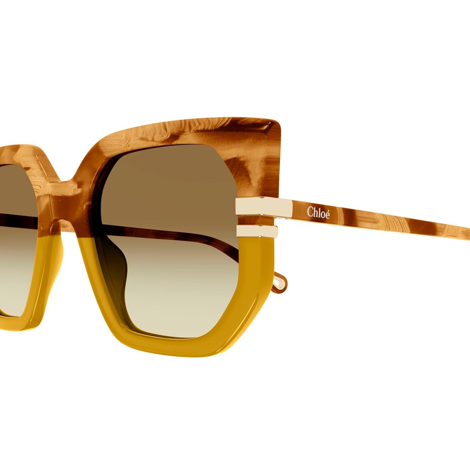 CH0240S Brown recycled acetate Sunglasses - Shiny Brown