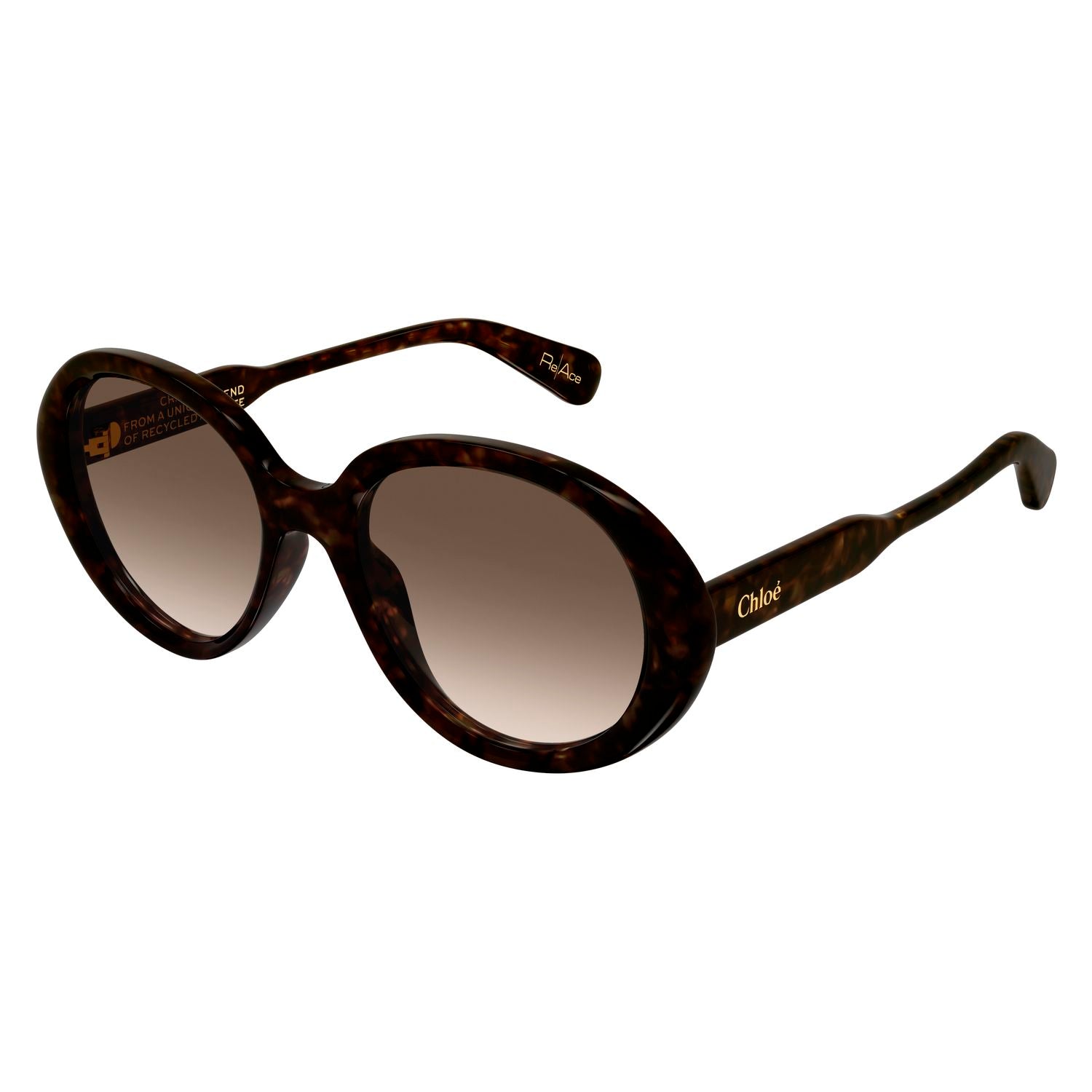 CH0221S Havana recycled acetate Sunglasses - Shiny Havana