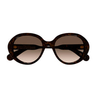 CH0221S Havana recycled acetate Sunglasses - Shiny Havana