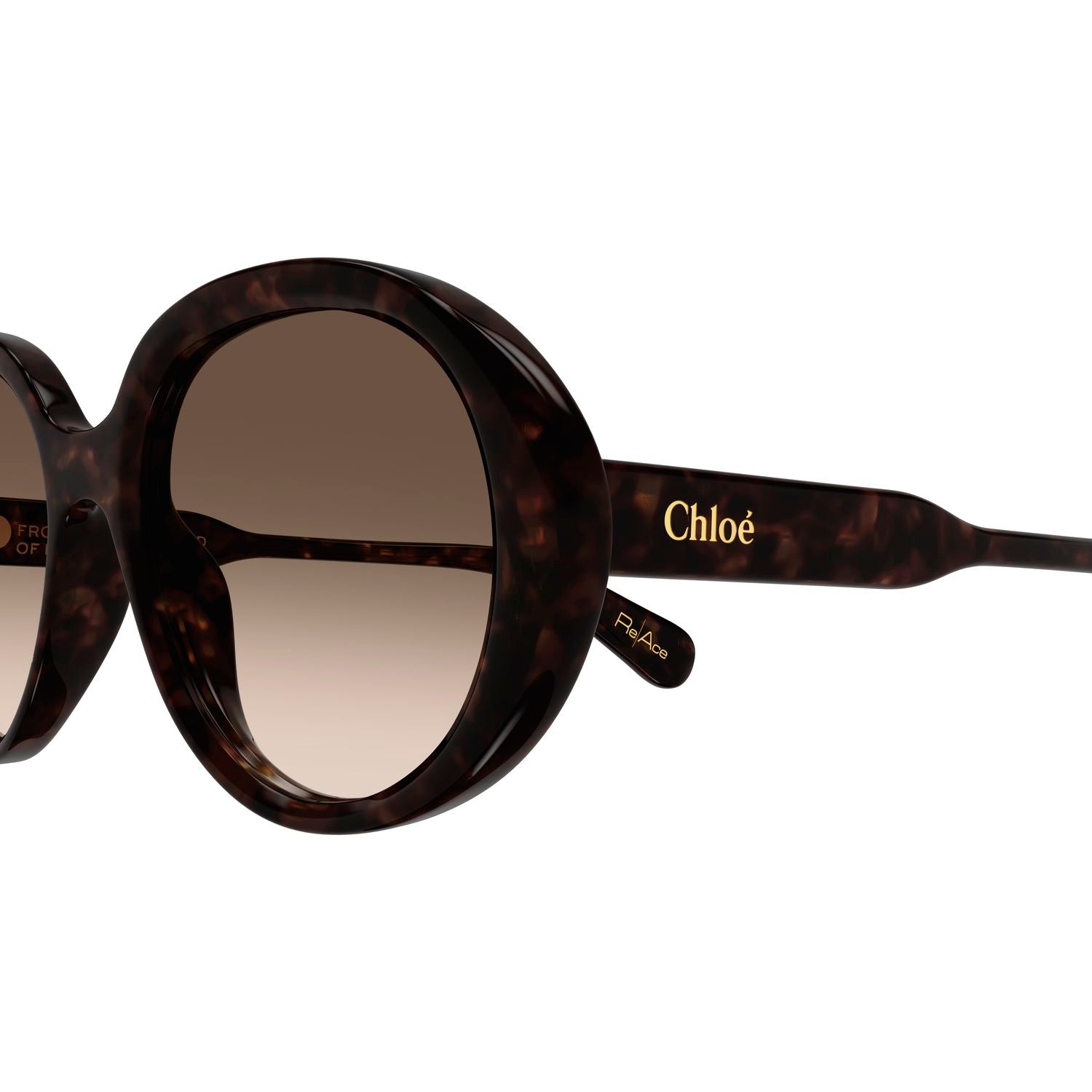 CH0221S Havana recycled acetate Sunglasses - Shiny Havana