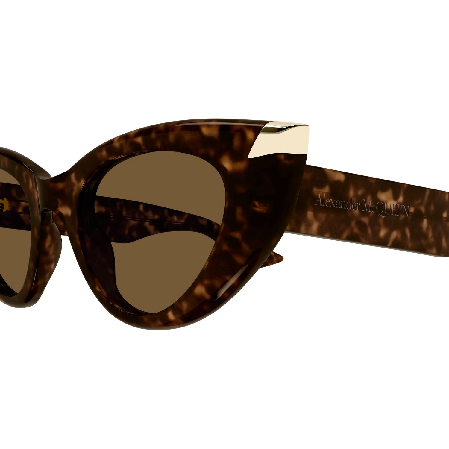 AM0442S Havana recycled acetate Sunglasses - Shiny Havana