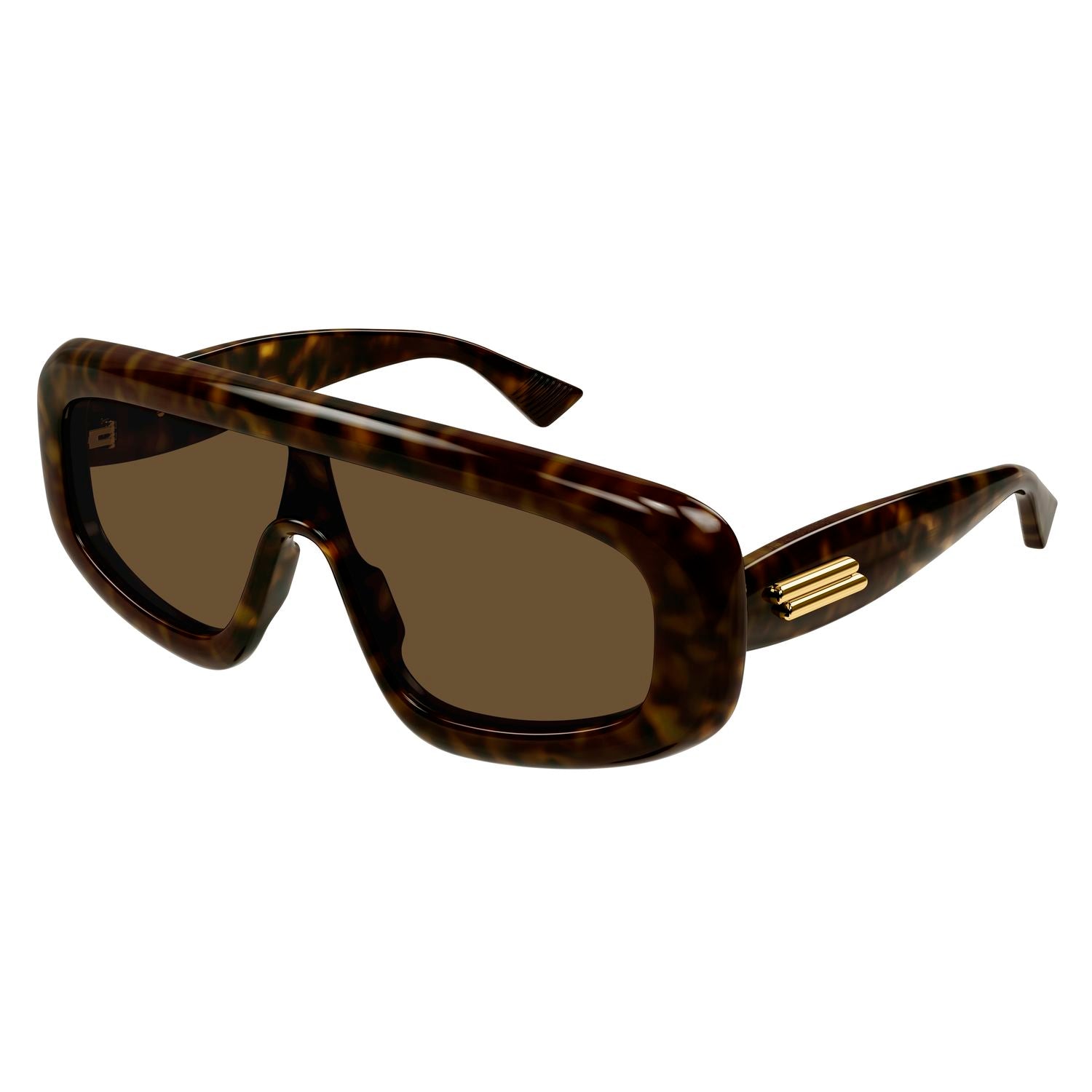 BV1281S Havana recycled acetate Sunglasses - Shiny Havana