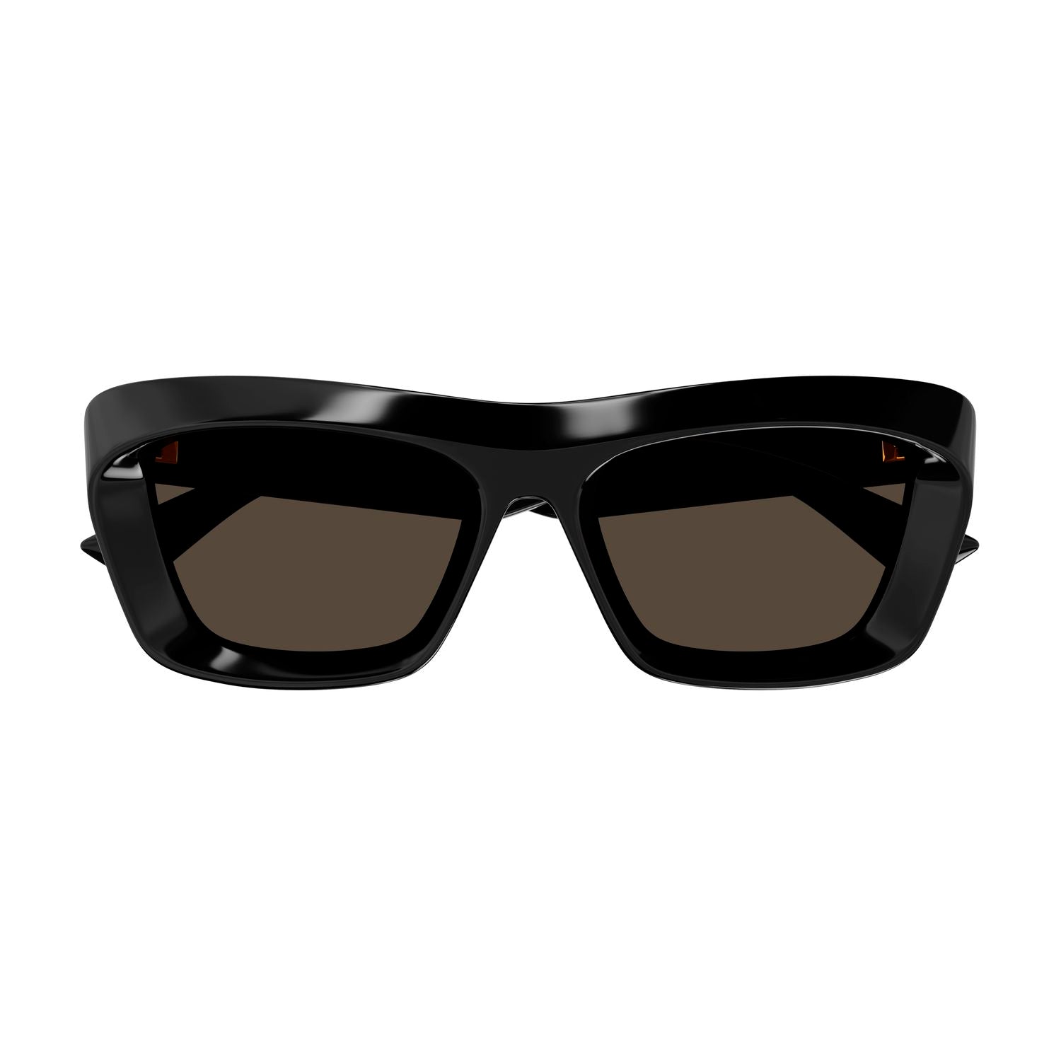 BV1283S Black recycled acetate Sunglasses - Shiny Black