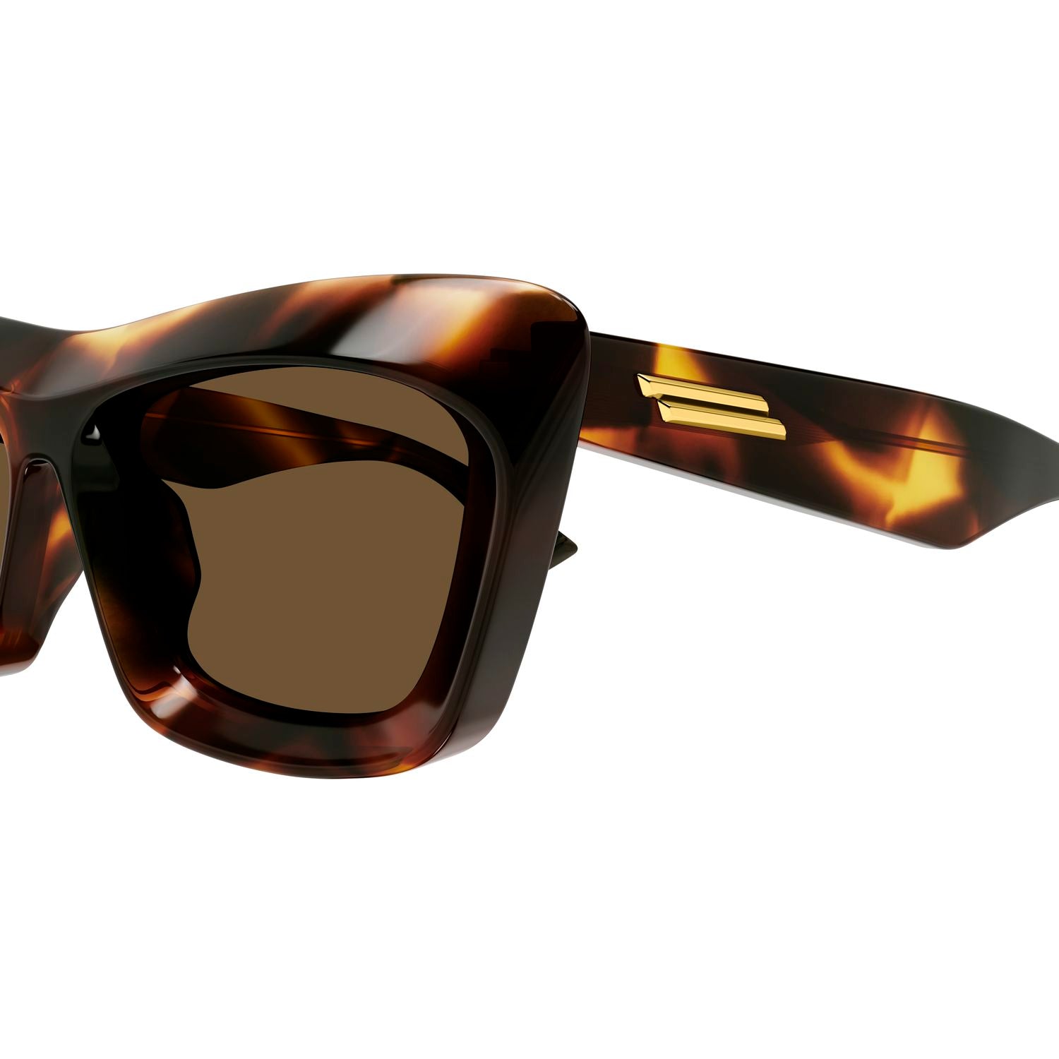 BV1283S Havana recycled acetate Sunglasses - Shiny Havana