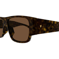 BV1286S Havana recycled acetate Sunglasses - Shiny Havana