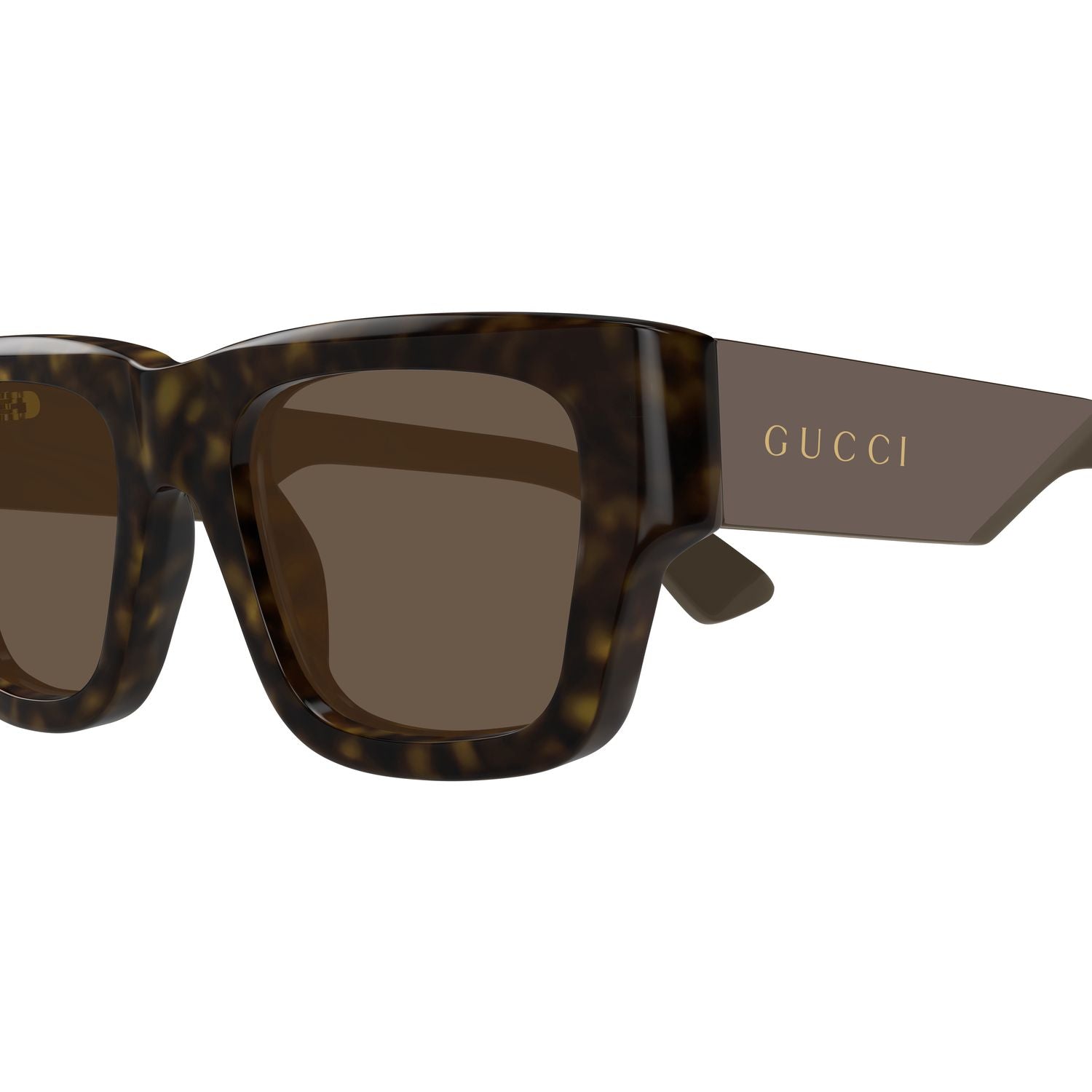 GG1668S Havana recycled acetate Sunglasses - Shiny Havana