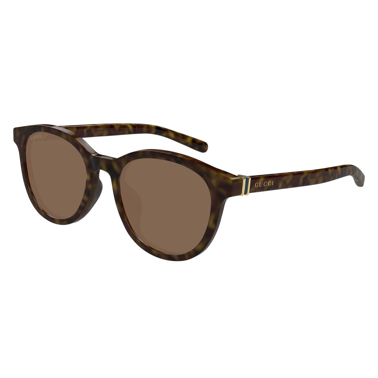 GG1674SK Havana recycled acetate Sunglasses - Shiny Havana