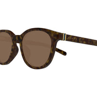 GG1674SK Havana recycled acetate Sunglasses - Shiny Havana