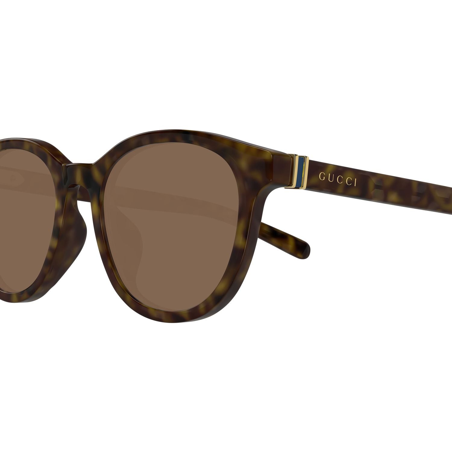 GG1674SK Havana recycled acetate Sunglasses - Shiny Havana