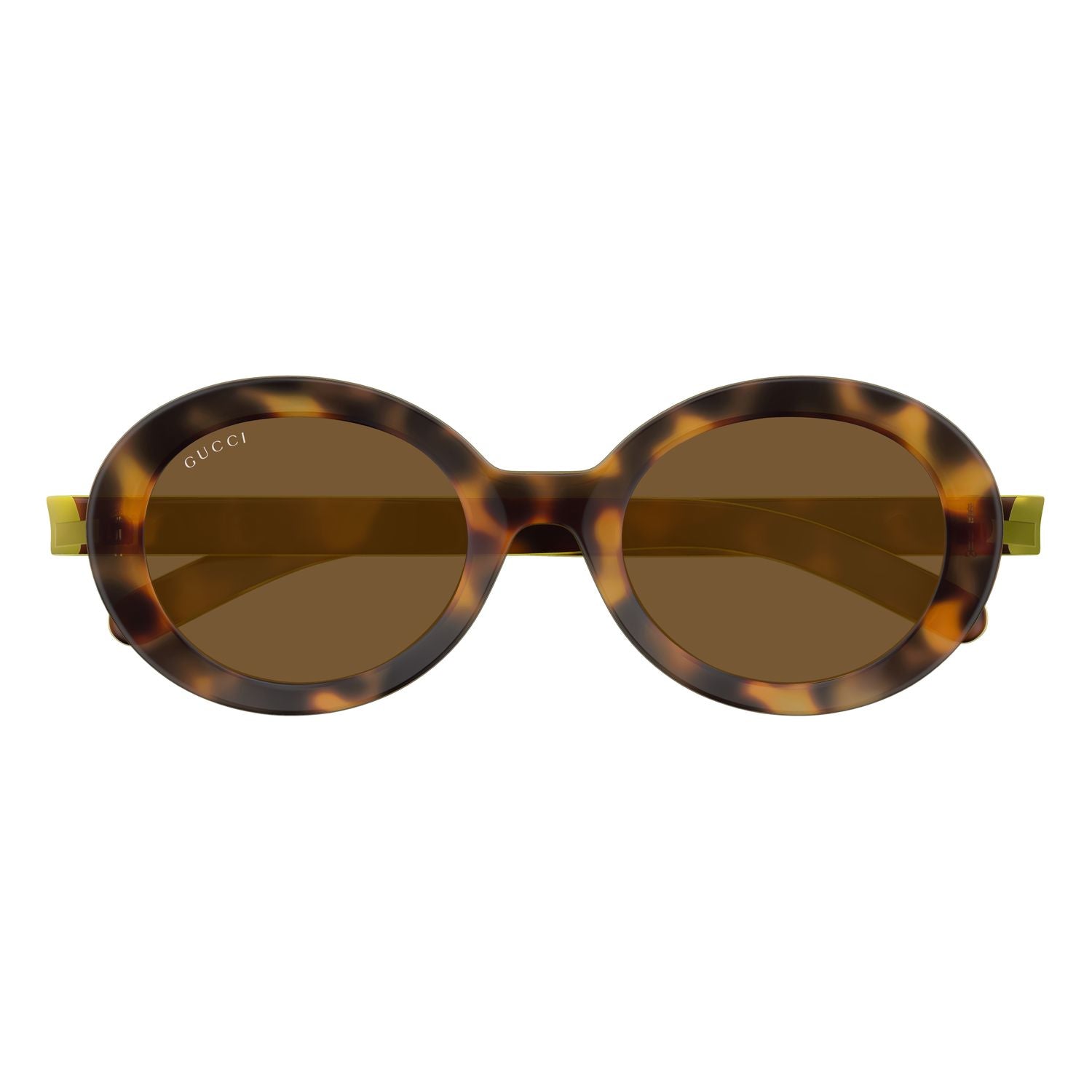 GG1722SA Havana injection Sunglasses - Shiny Havana