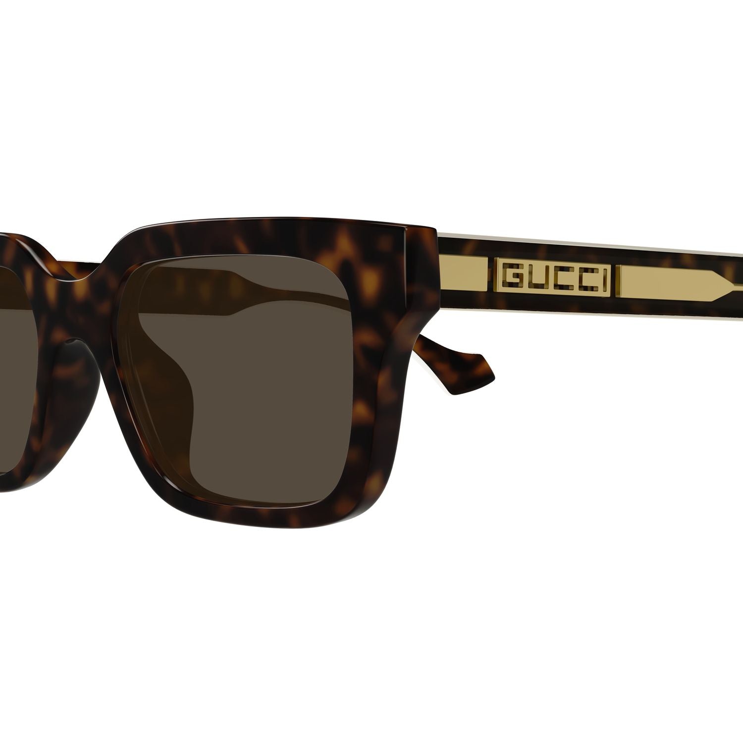 GG1732SK Havana injection Sunglasses - Shiny Havana