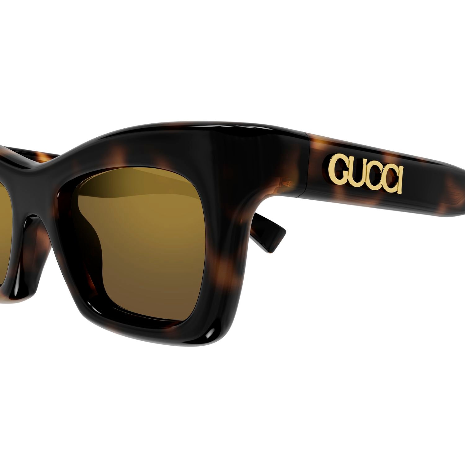 GG1773S Havana recycled acetate Sunglasses - Shiny Havana