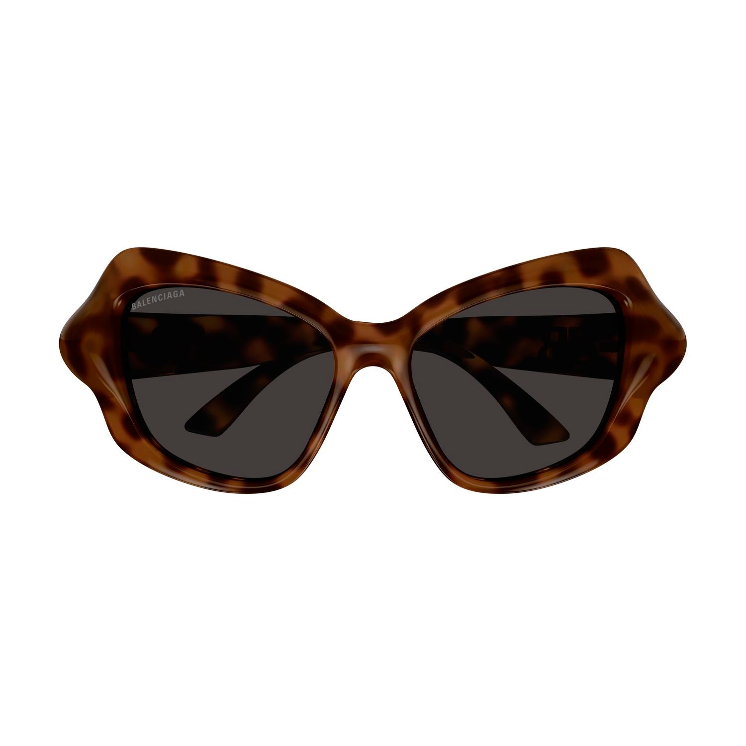 BB0353S Havana bio injection Sunglasses - Shiny Havana