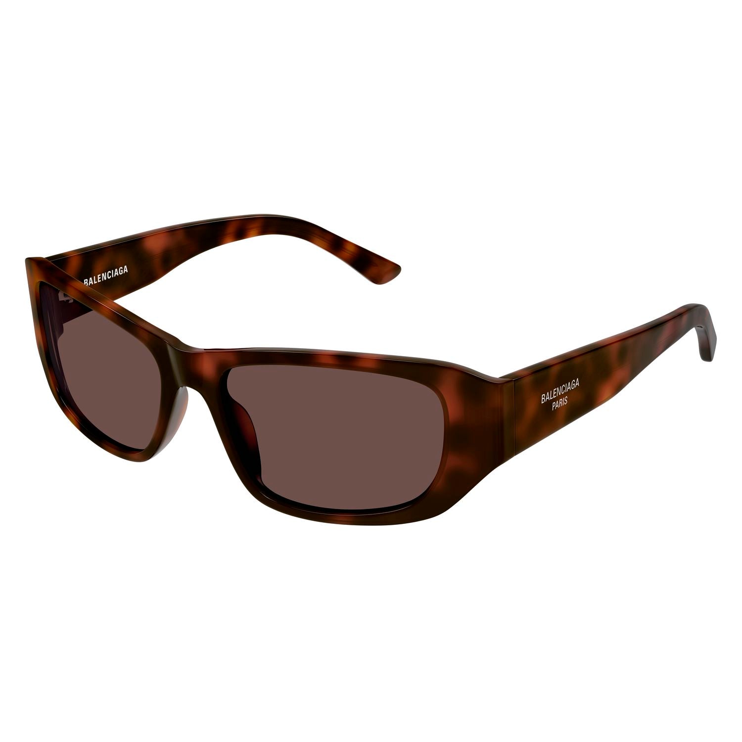 BB0365S Havana recycled acetate Sunglasses - Shiny Havana