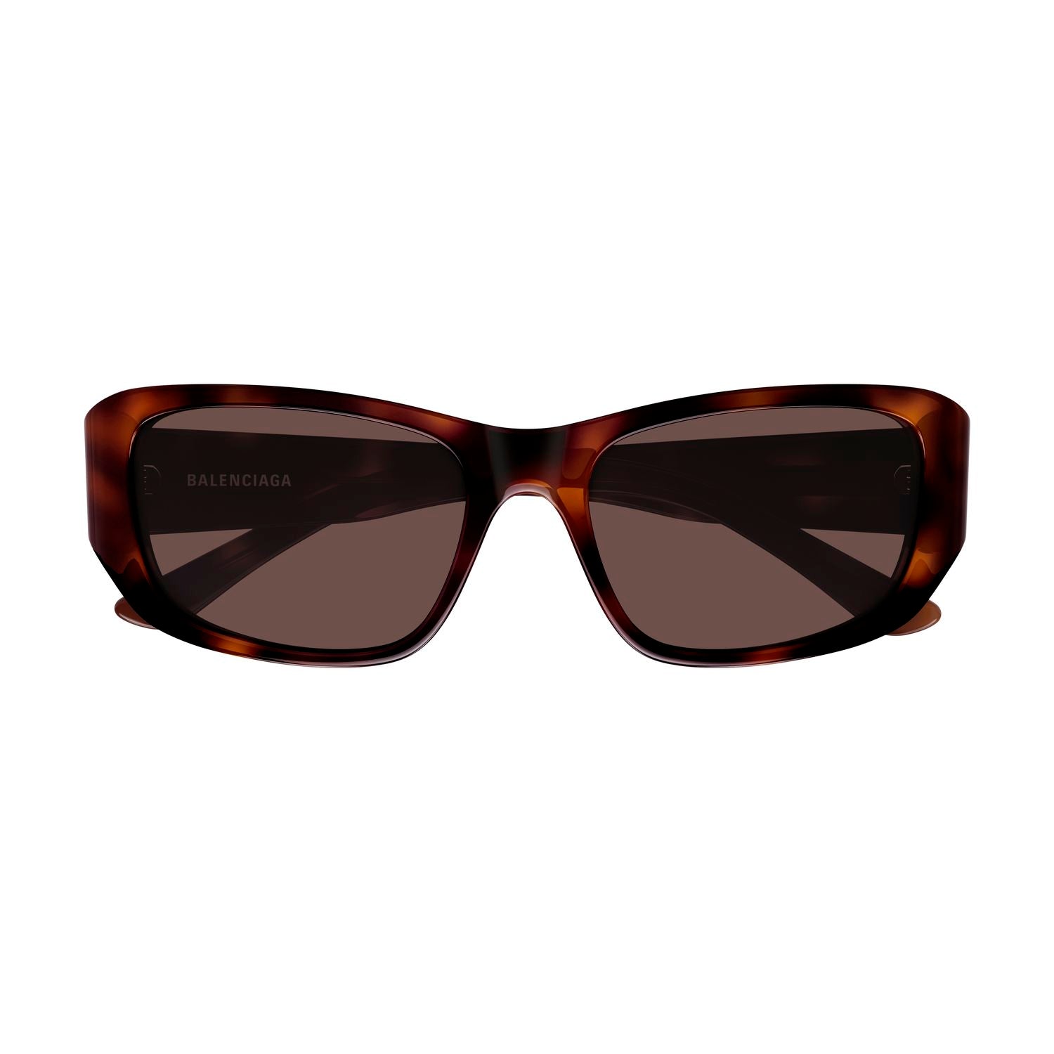BB0365S Havana recycled acetate Sunglasses - Shiny Havana