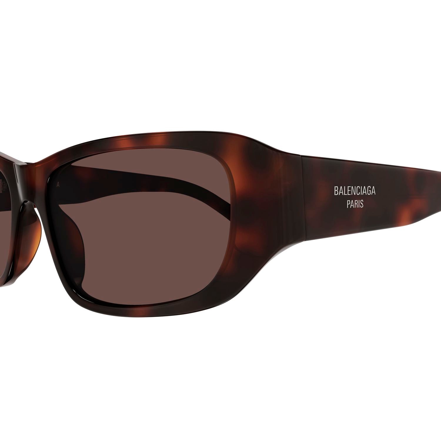 BB0365S Havana recycled acetate Sunglasses - Shiny Havana