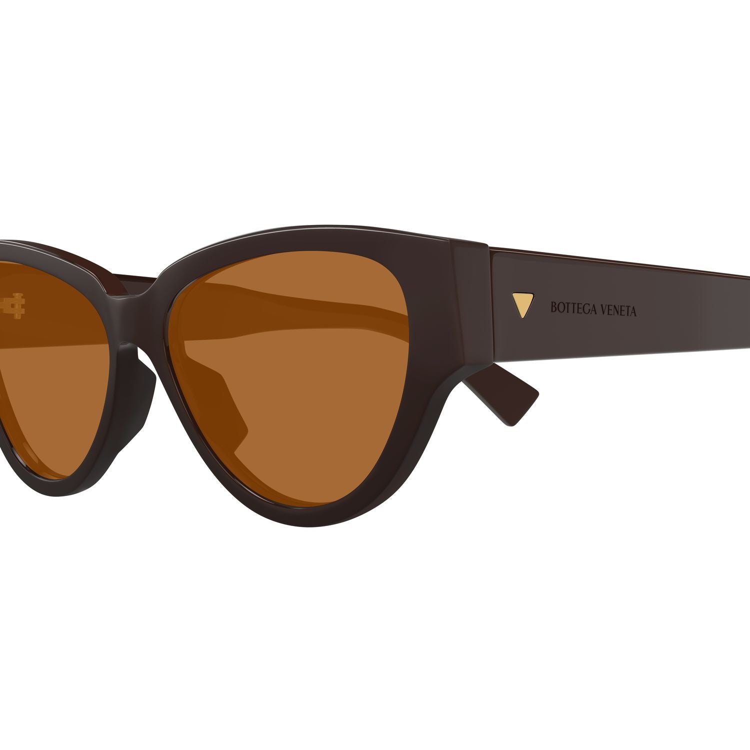 BV1319S Brown recycled acetate Sunglasses - Shiny Brown