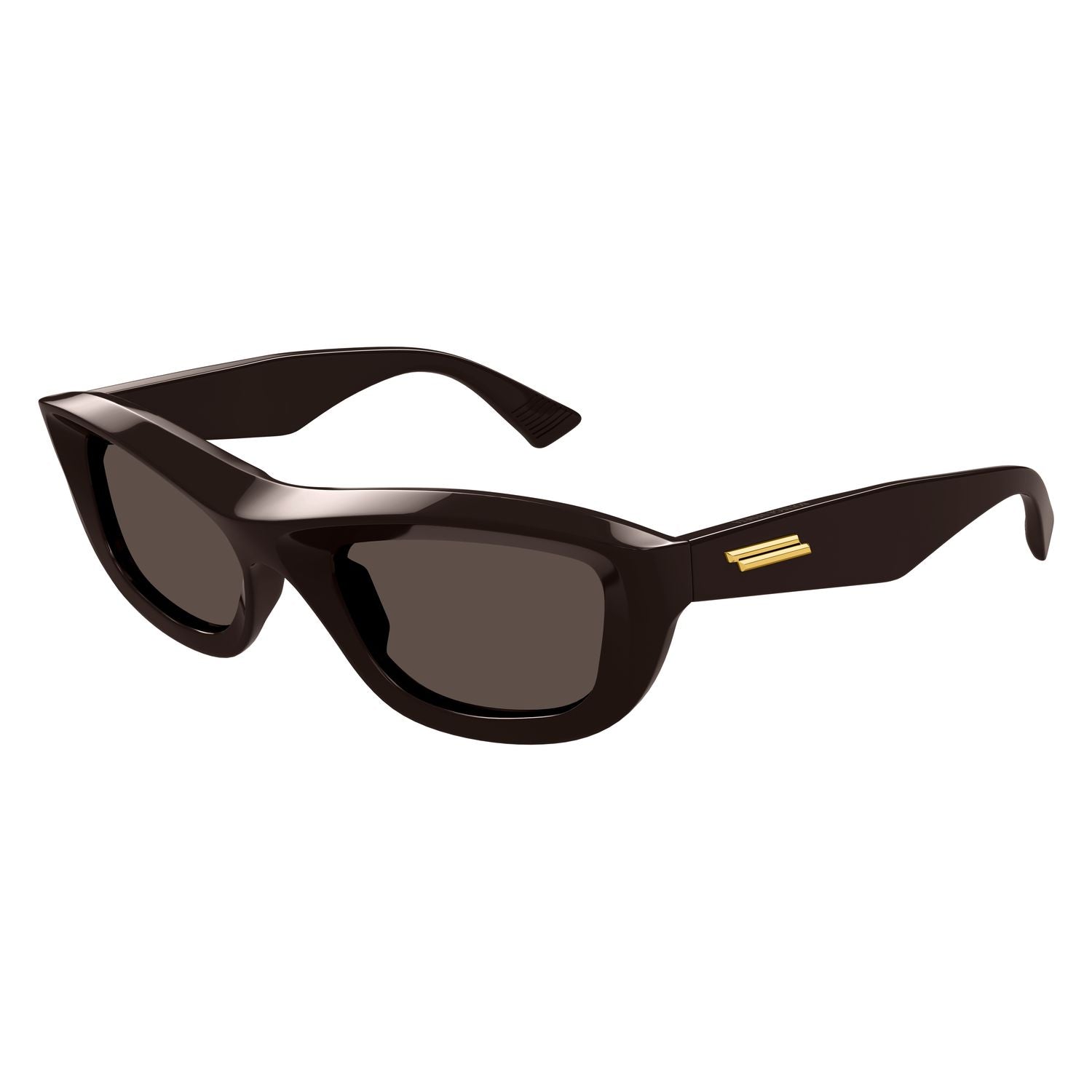 BV1326S Brown injection Sunglasses - Shiny Brown