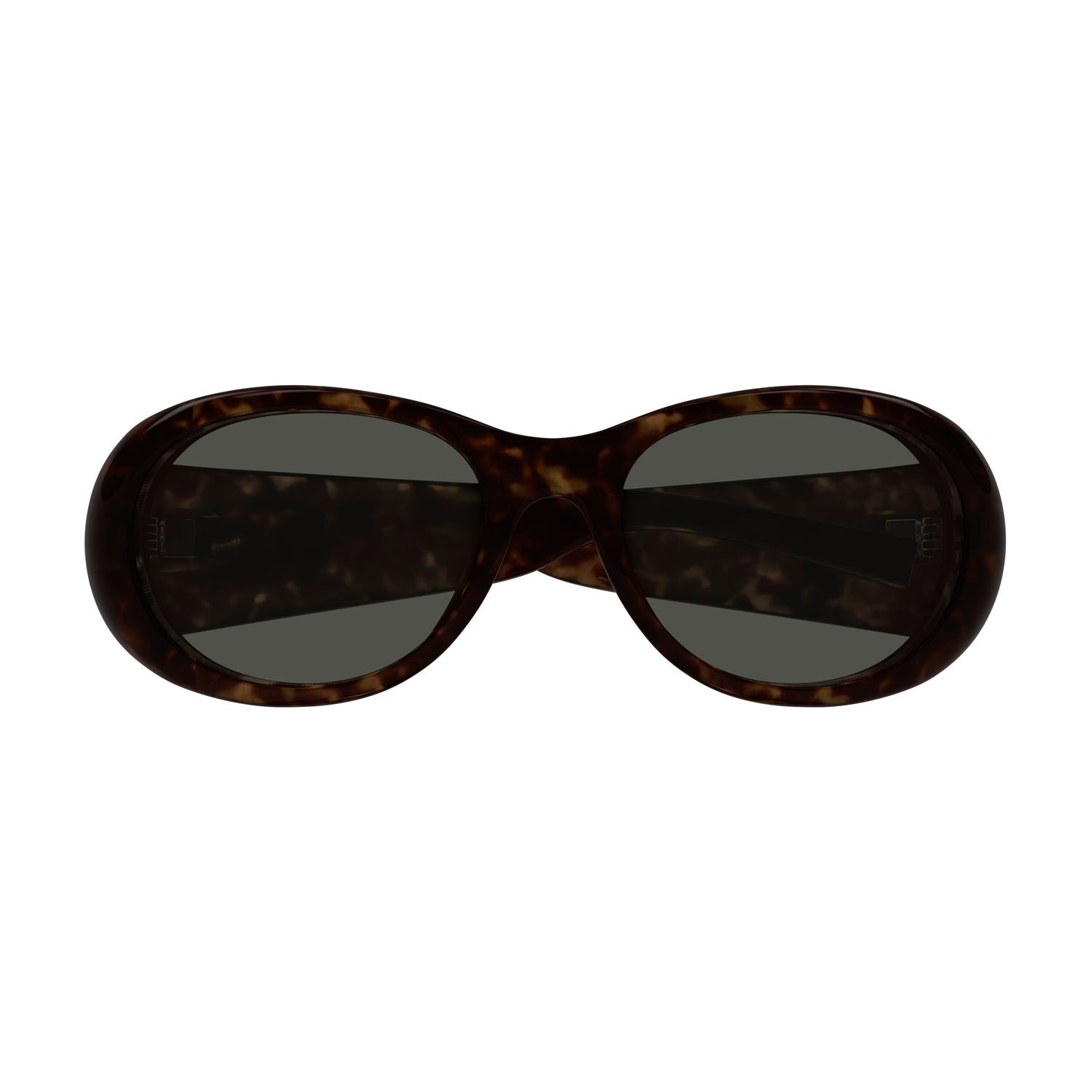SL 736 Havana bio injection Sunglasses - Shiny Havana