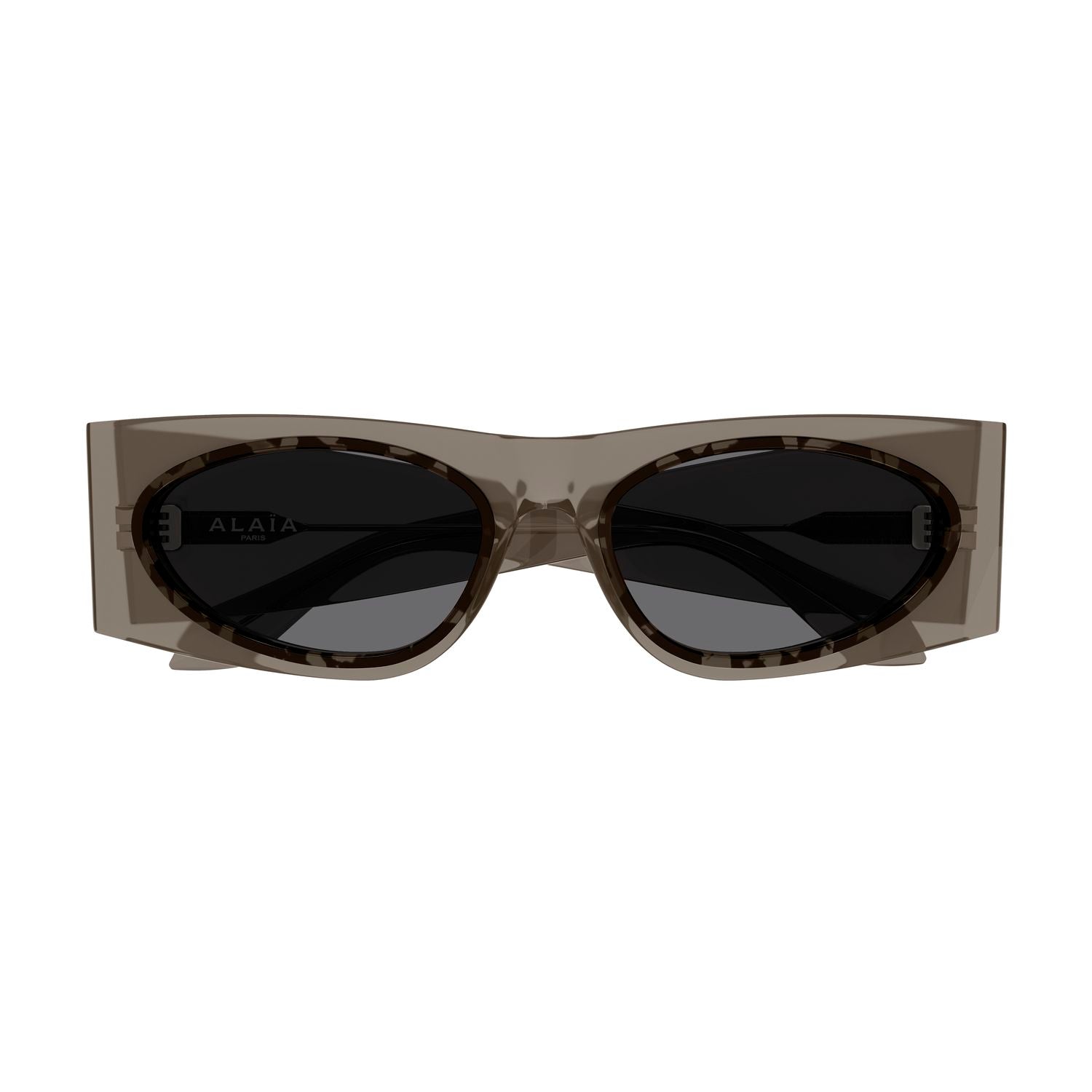 AA0085S Brown recycled acetate Sunglasses - Shiny Transparent Brown