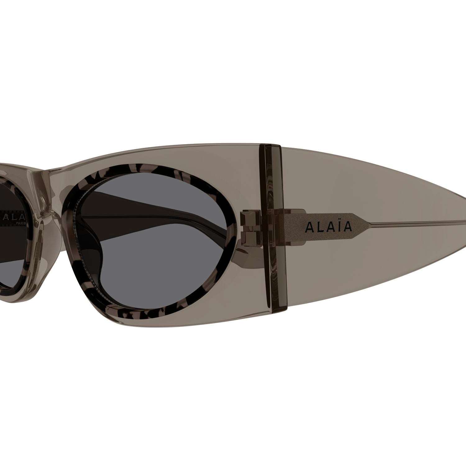 AA0085S Brown recycled acetate Sunglasses - Shiny Transparent Brown