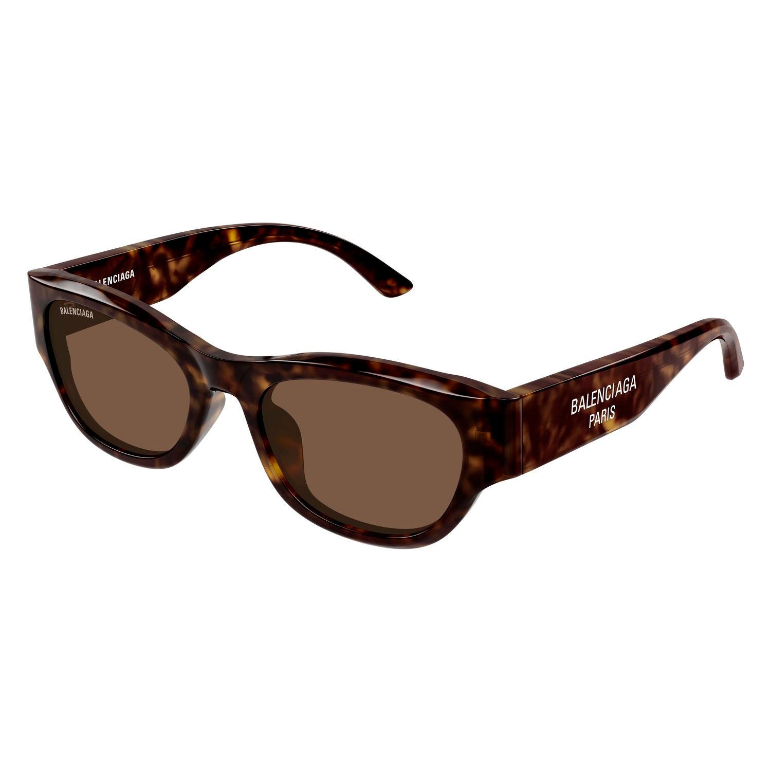 BB0389SK Havana recycled acetate Sunglasses - Shiny Havana