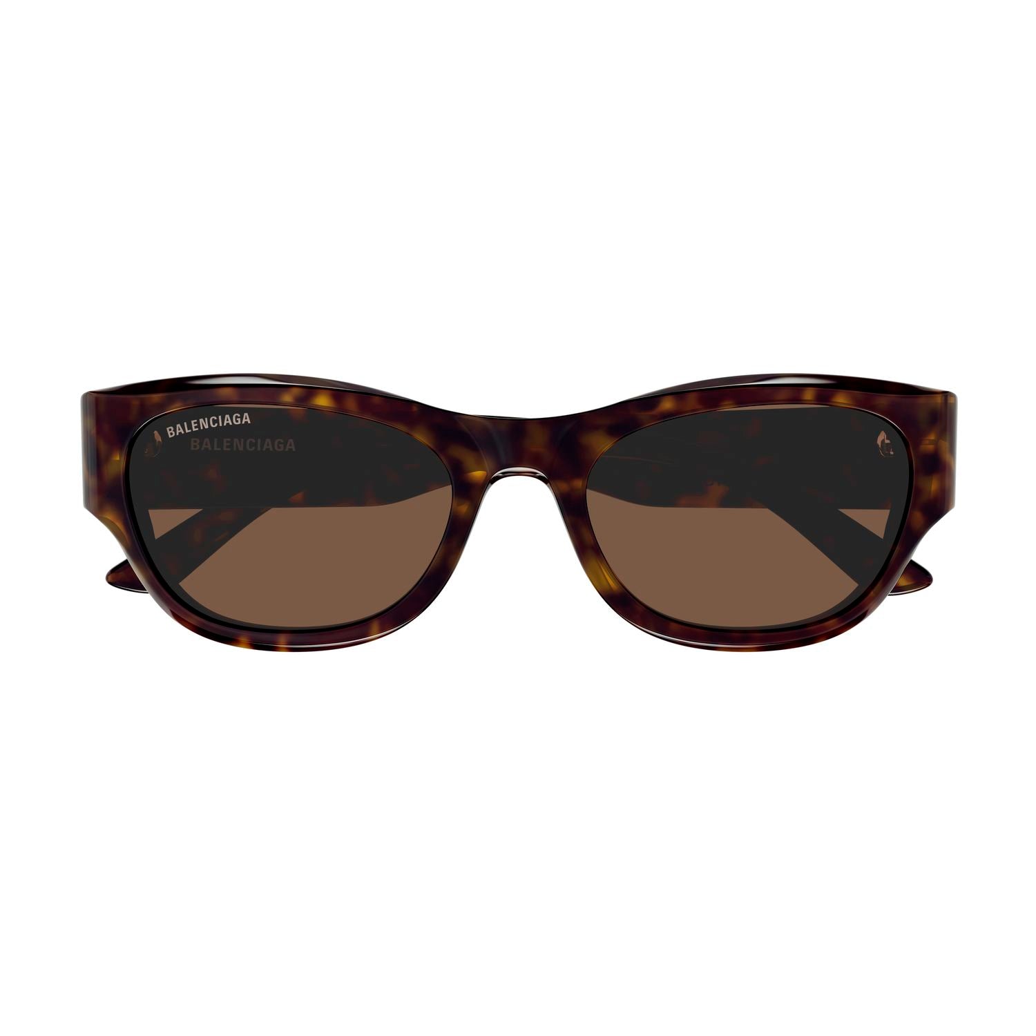 BB0389SK Havana recycled acetate Sunglasses - Shiny Havana