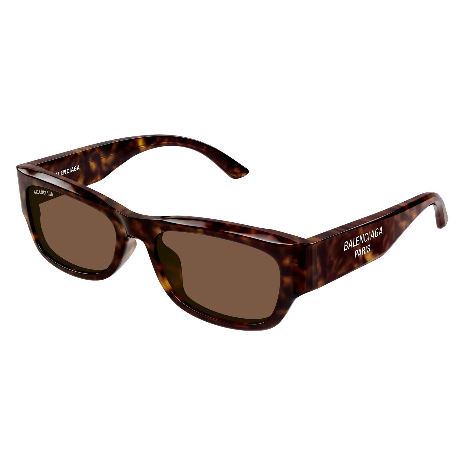BB0390SK Havana recycled acetate Sunglasses - Shiny Havana