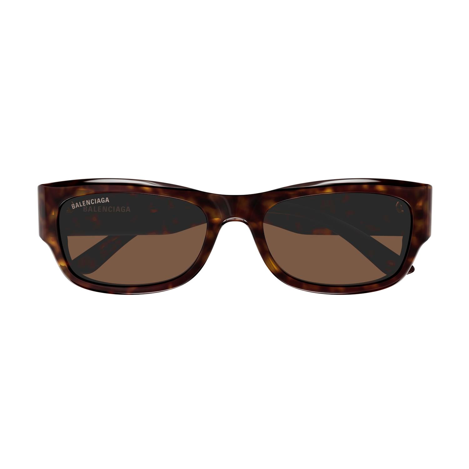 BB0390SK Havana recycled acetate Sunglasses - Shiny Havana