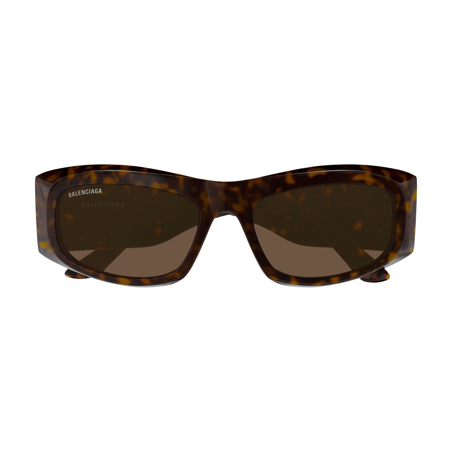 BB0395S Havana recycled acetate Sunglasses - Shiny Havana