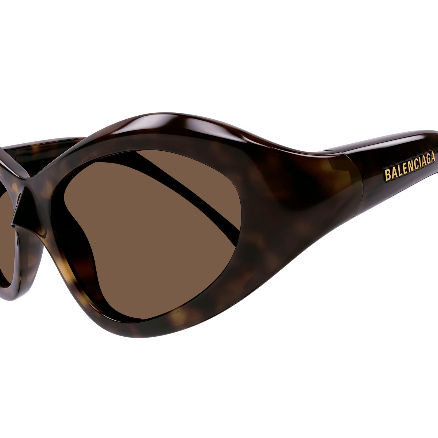 BB0386S Havana bio injection Sunglasses - Shiny Havana