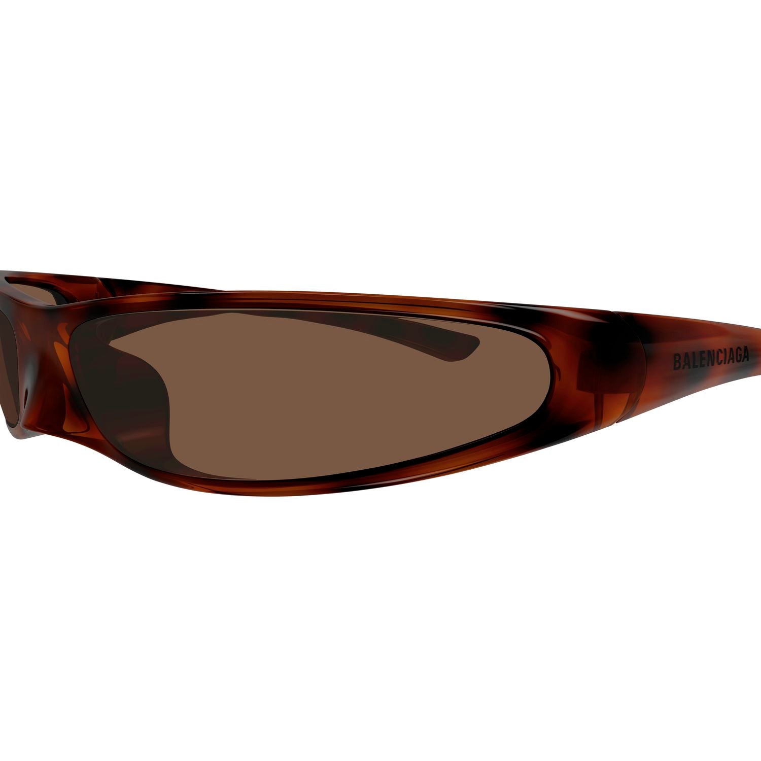 BB0383S Havana bio injection Sunglasses - Shiny Havana