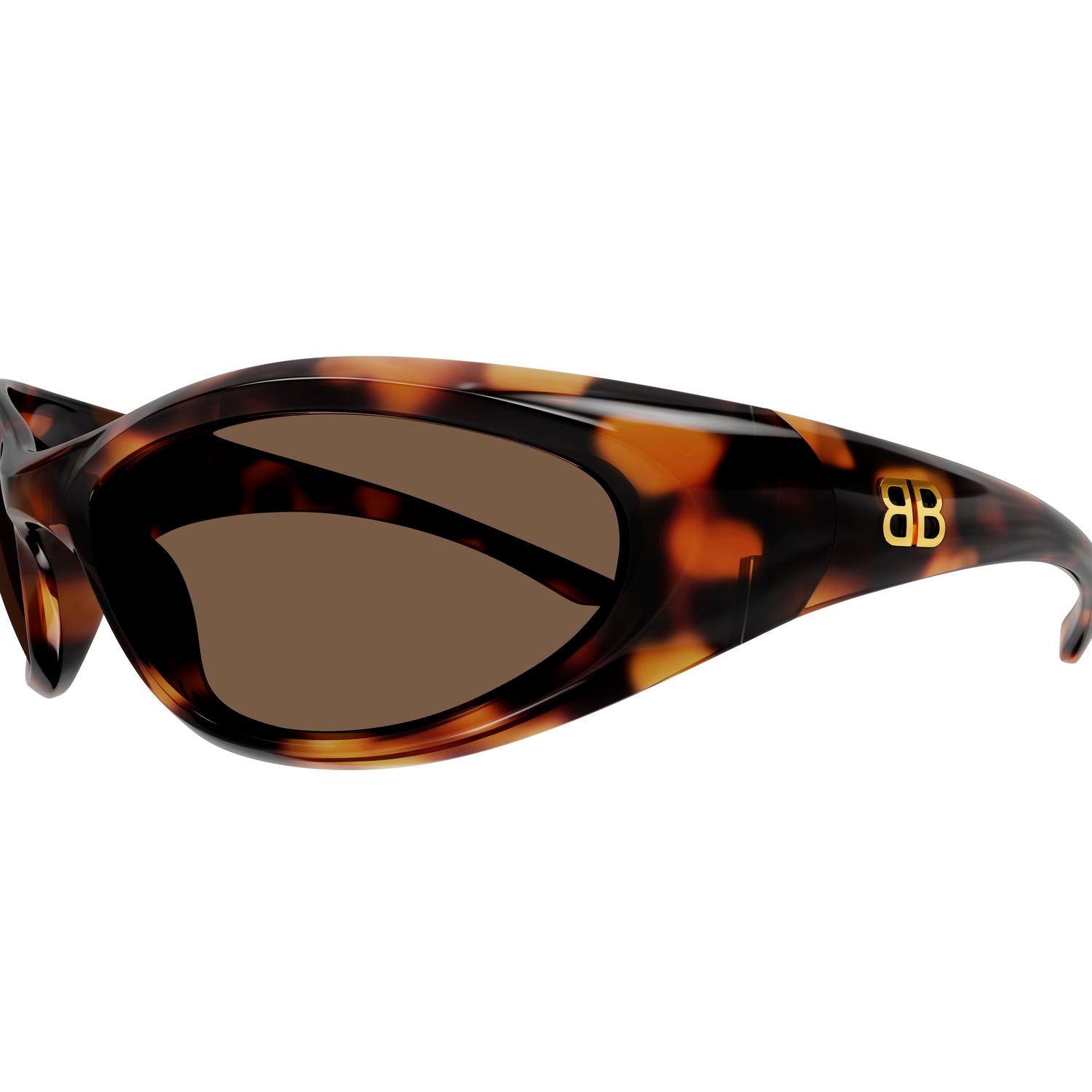 BB0384S Havana bio injection Sunglasses - Shiny Havana