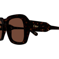 CH0310S Havana recycled acetate Sunglasses - Shiny Havana