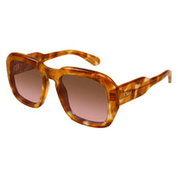 CH0310S Havana recycled acetate Sunglasses - Havana