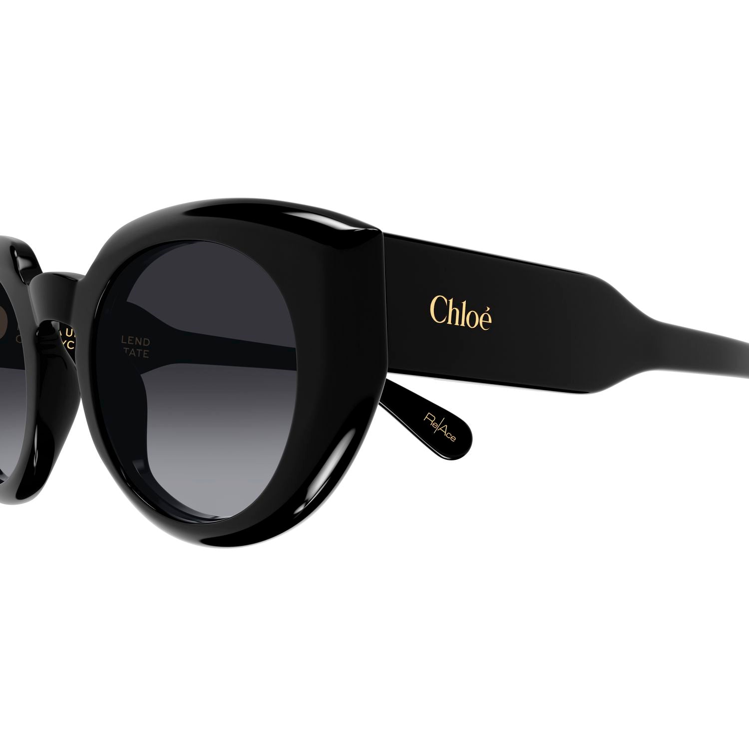 CH0311S Black recycled acetate Sunglasses - Shiny Black