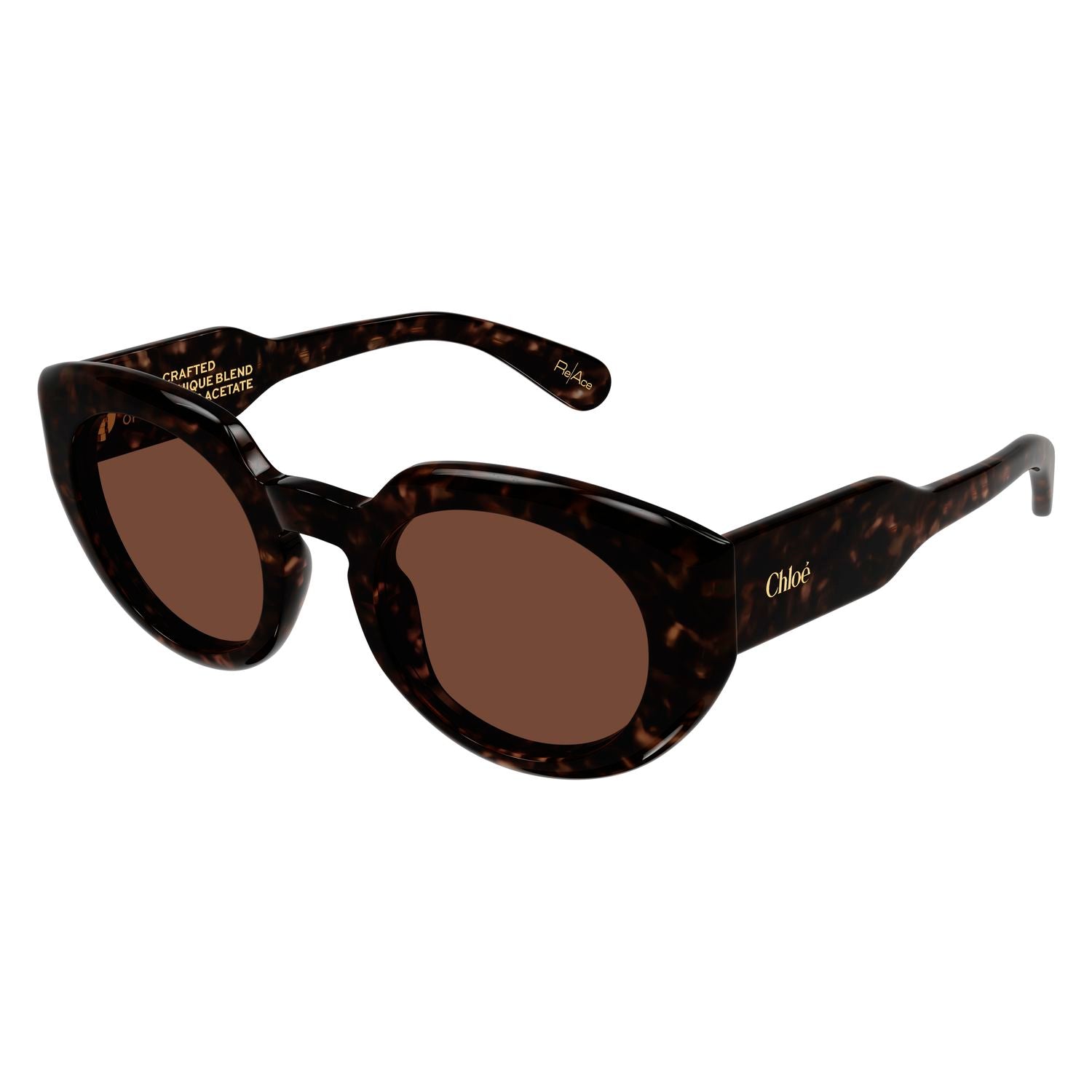CH0311S Havana recycled acetate Sunglasses - Shiny Havana