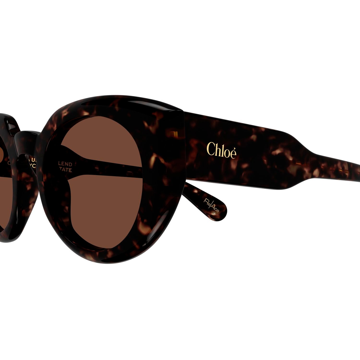 CH0311S Havana recycled acetate Sunglasses - Shiny Havana
