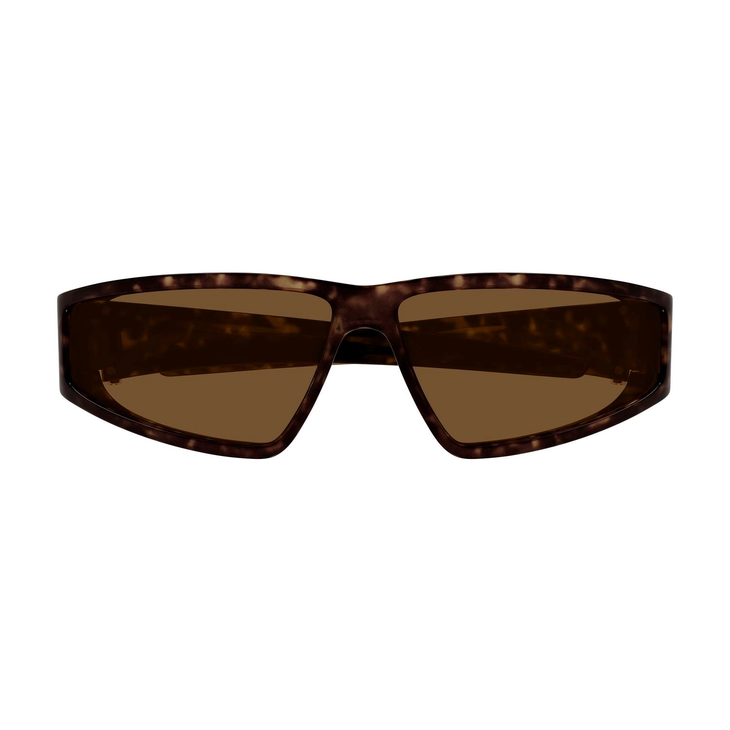 AM0490S Havana bio injection Sunglasses - Shiny Havana