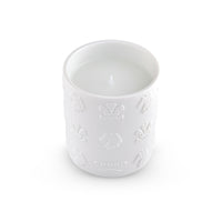 220g Silver Mountain Water Candle