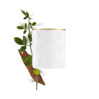 220g Birmanie Oud Candle