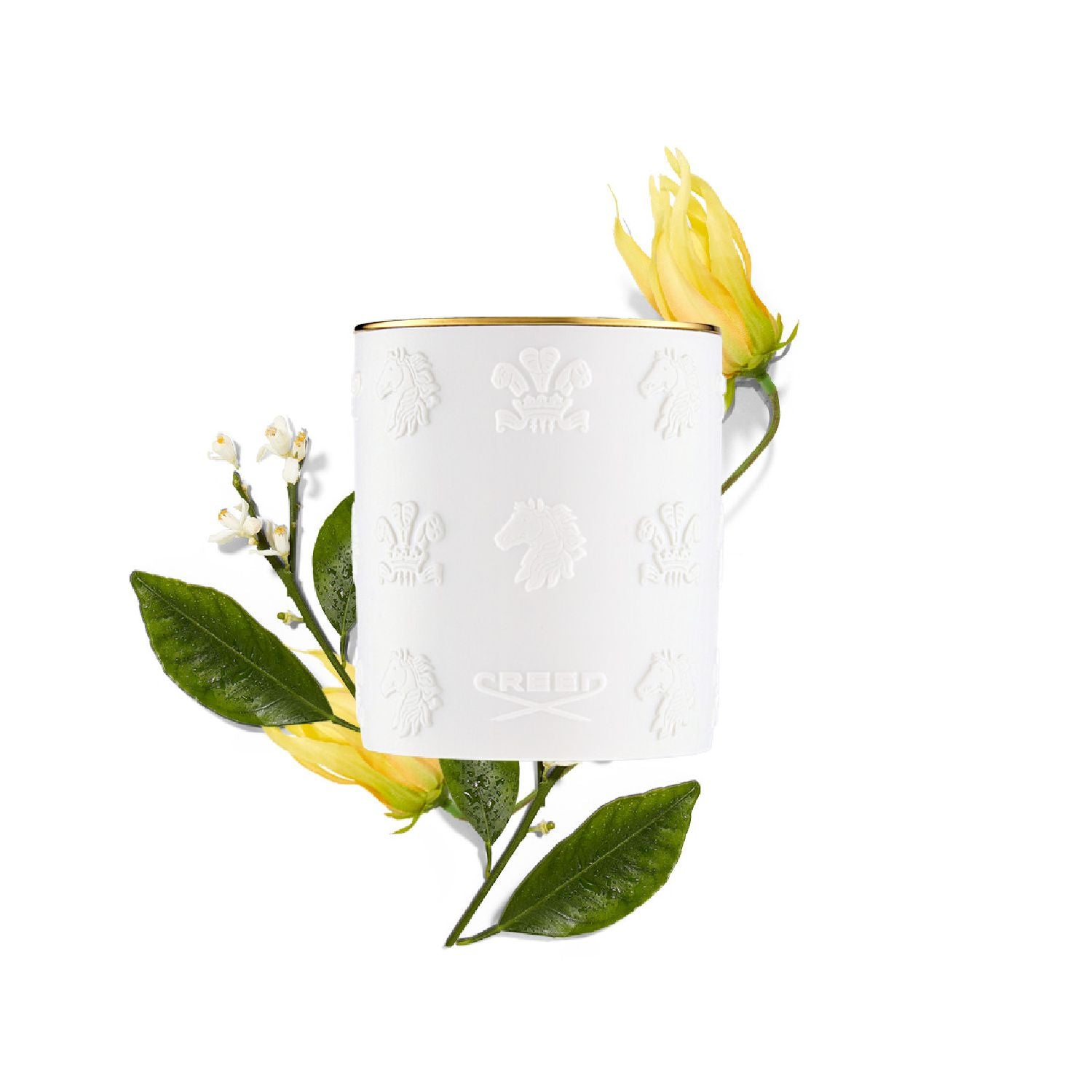220g Cananga Porcelain Candle