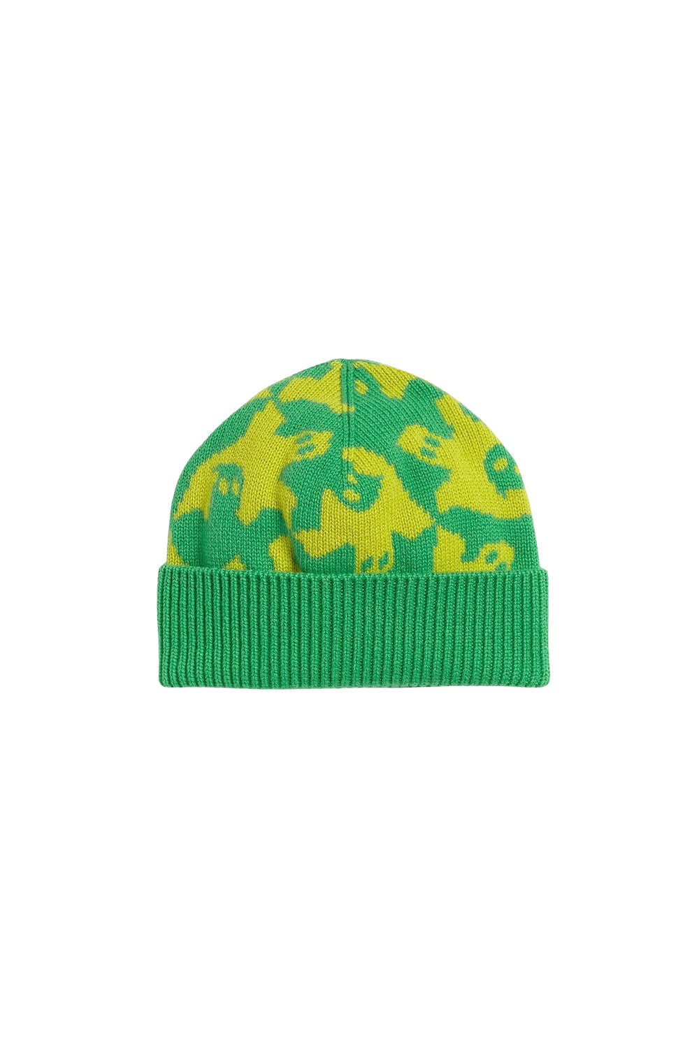 Parakeet & kiwi Beanie - Parakeet & Kiwi