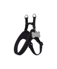 Dog Harness - Nero & Palladio