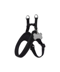 Dog Harness - Nero & Palladio