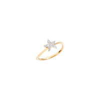 Star yellow gold & white diamonds Ring - Yellow Gold
