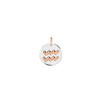 Aquarius rose gold & silver Charm - Rose Gold & Silver