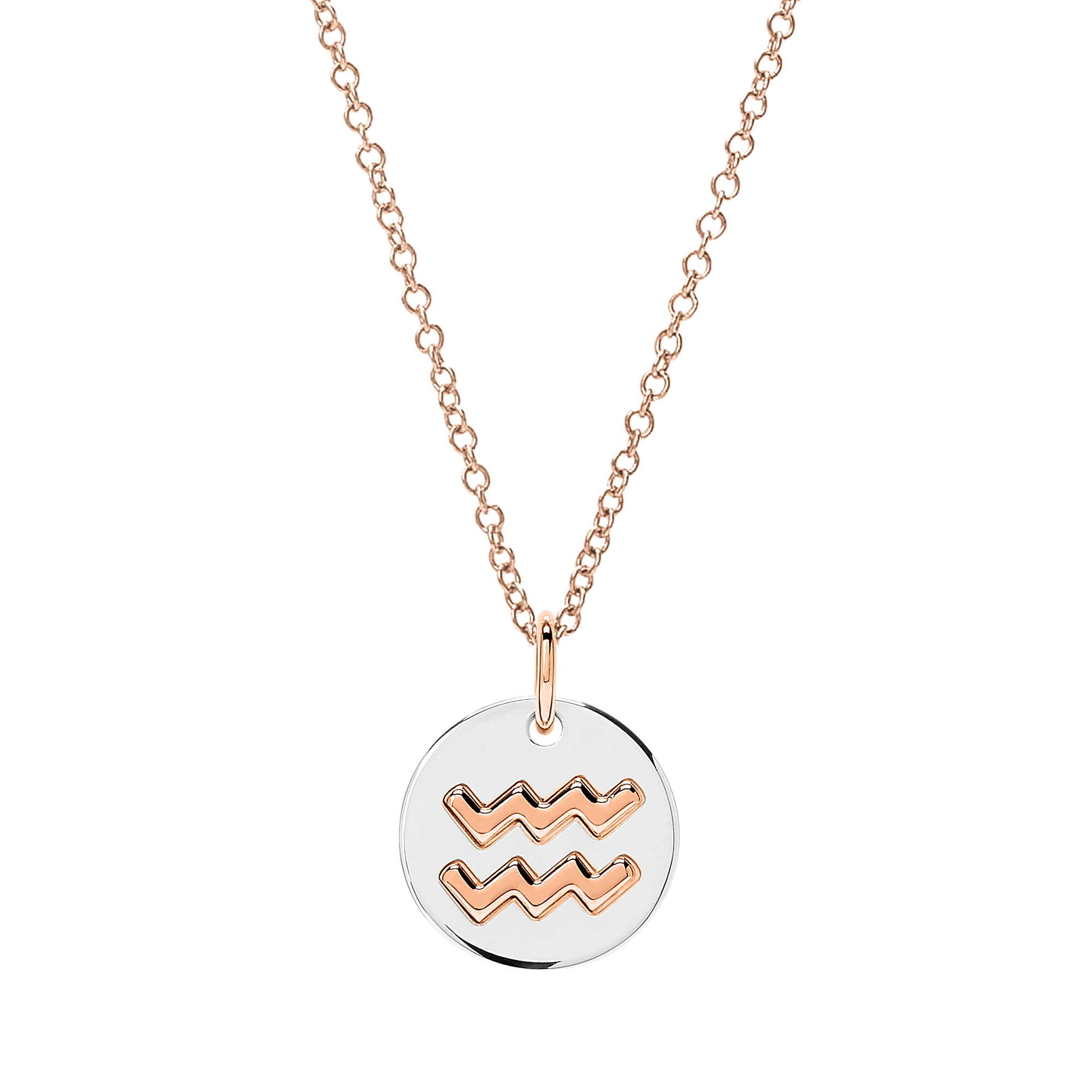 Aquarius rose gold & silver Charm - Rose Gold & Silver