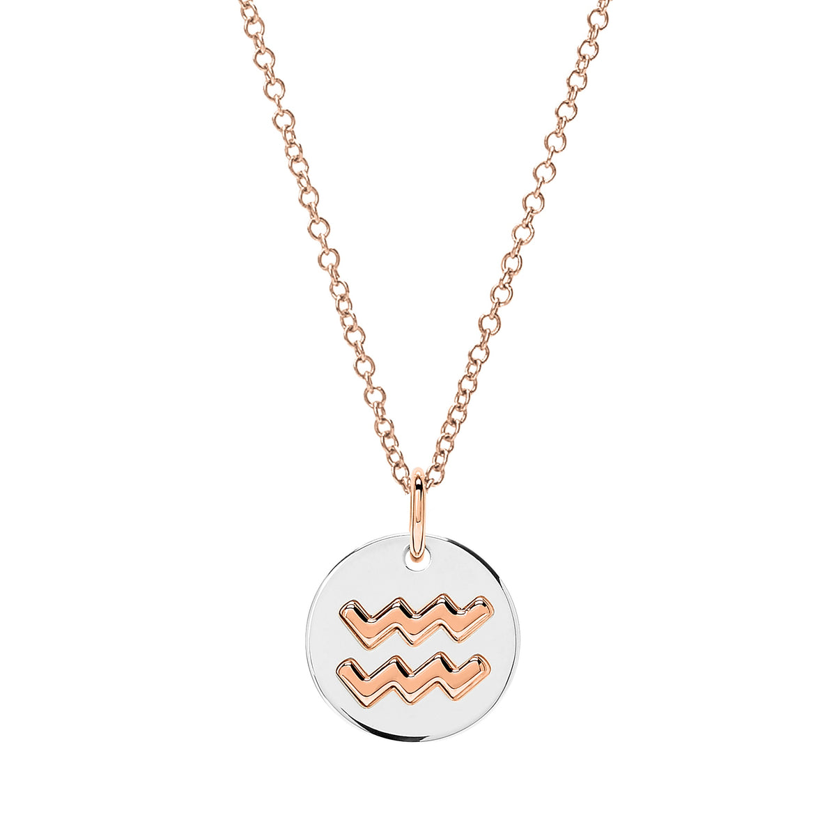 Aquarius rose gold & silver Charm - Rose Gold & Silver